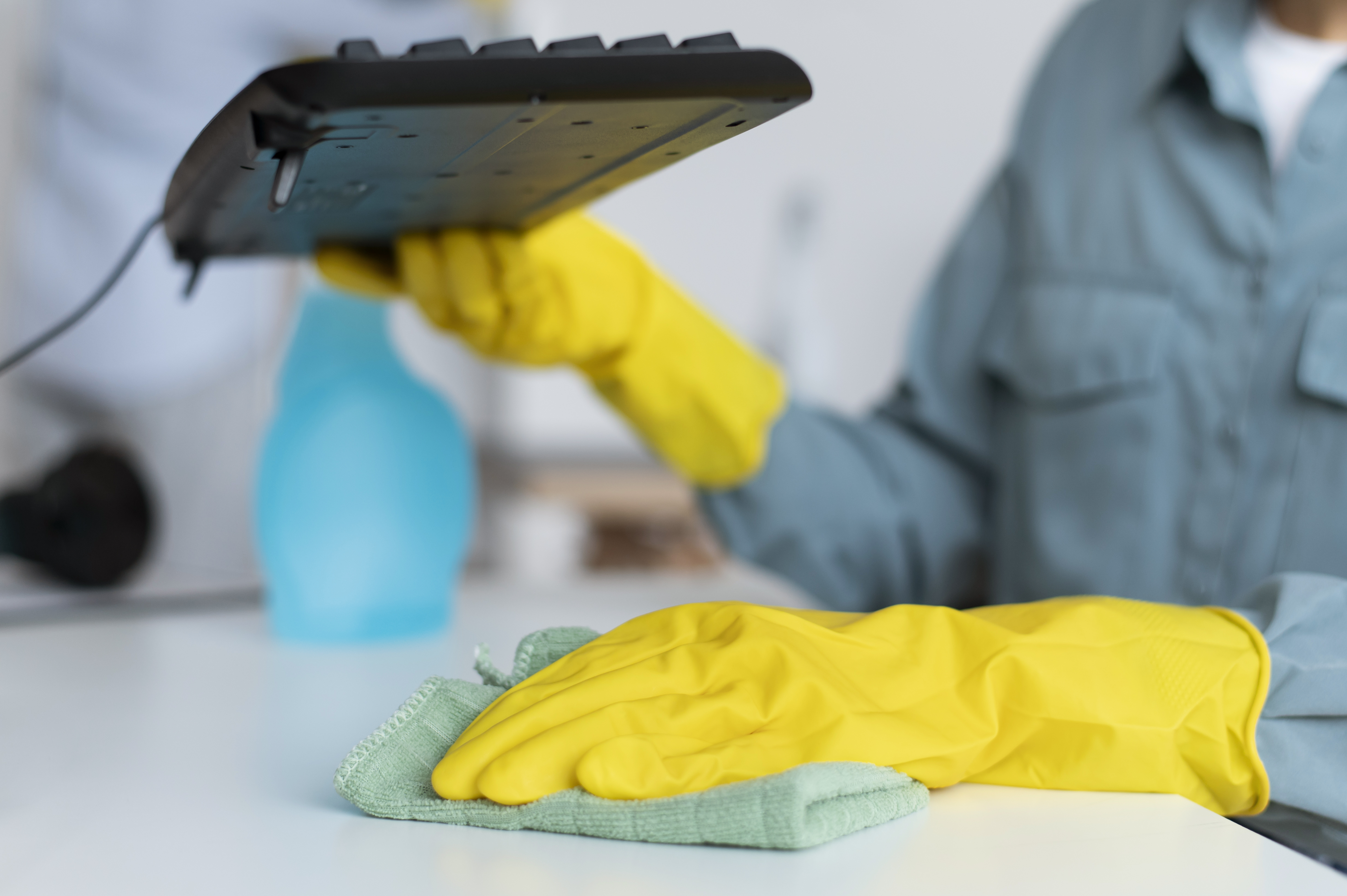 Move-in/Move-out Cleaning
